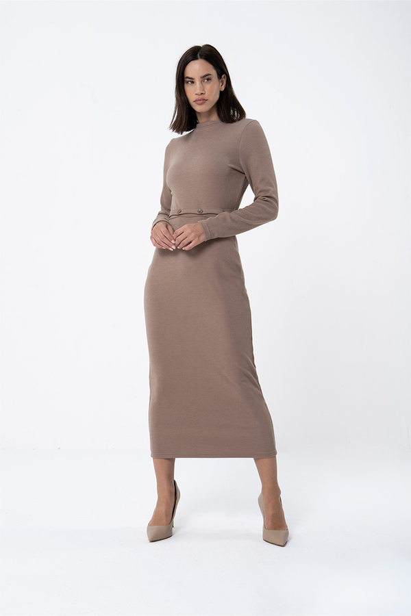 ROZA FITTED DRESS